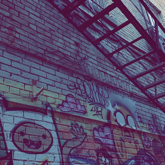 Meet your Posher, Reign - Picture 1 of 1